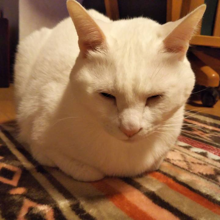 A29382d8 9f14 451b 9eda 992d930fc3c0 1546775655447