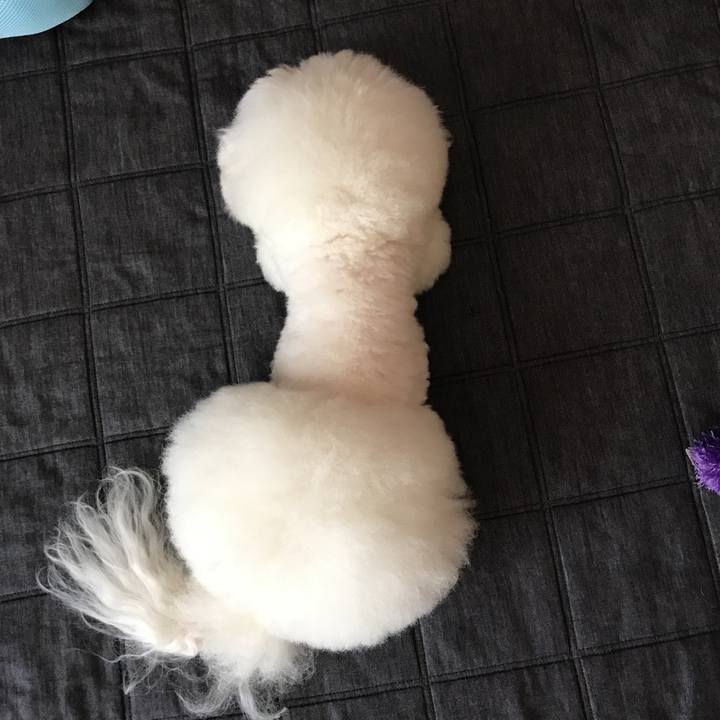 A2938f20 8c3d 40c3 817d 2ceebf56bc39 1527132755923