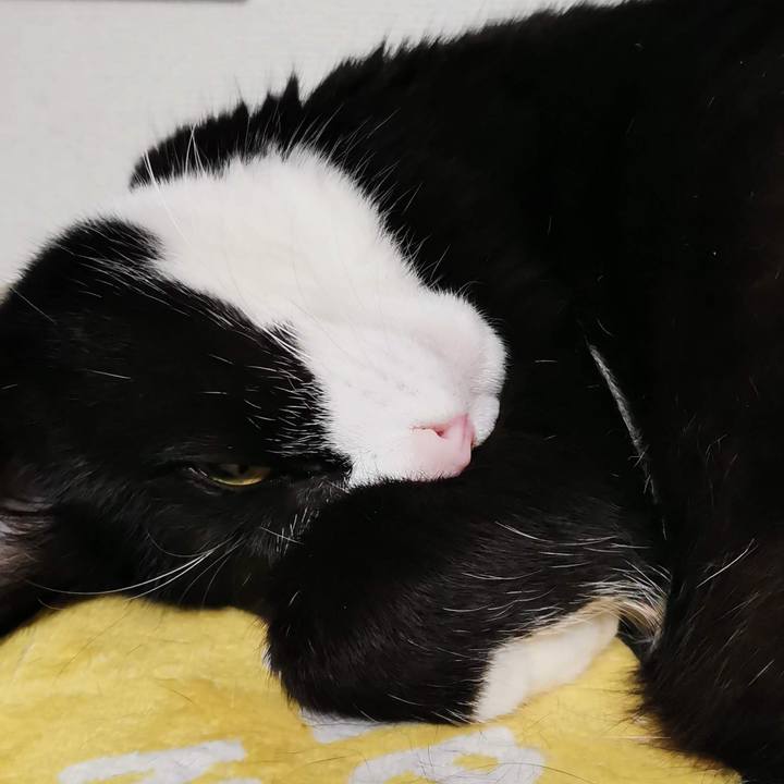 A293a7d4 3a8c 4820 bf3a 4fded72ff628 1713324402460