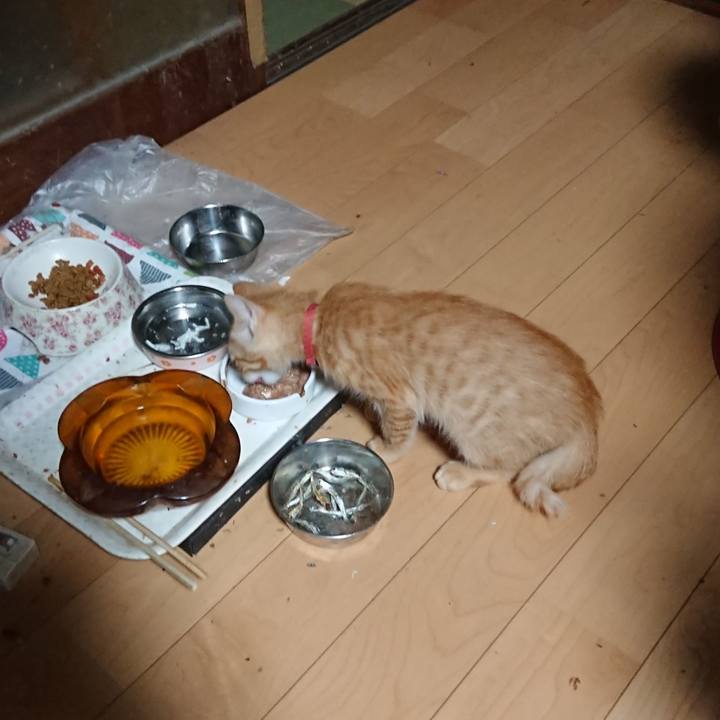 A293b559 7320 4892 a645 d41e211dab15 1631998120055