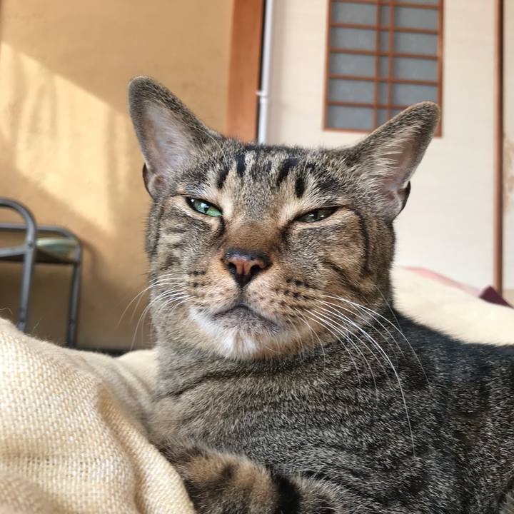 A293c98b 2c8d 4205 a248 f7ebfe0a206b 1509411557042