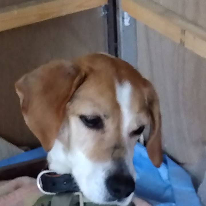 A2940271 cb35 425a b8e6 4d58c3d6dd42 1683976899359