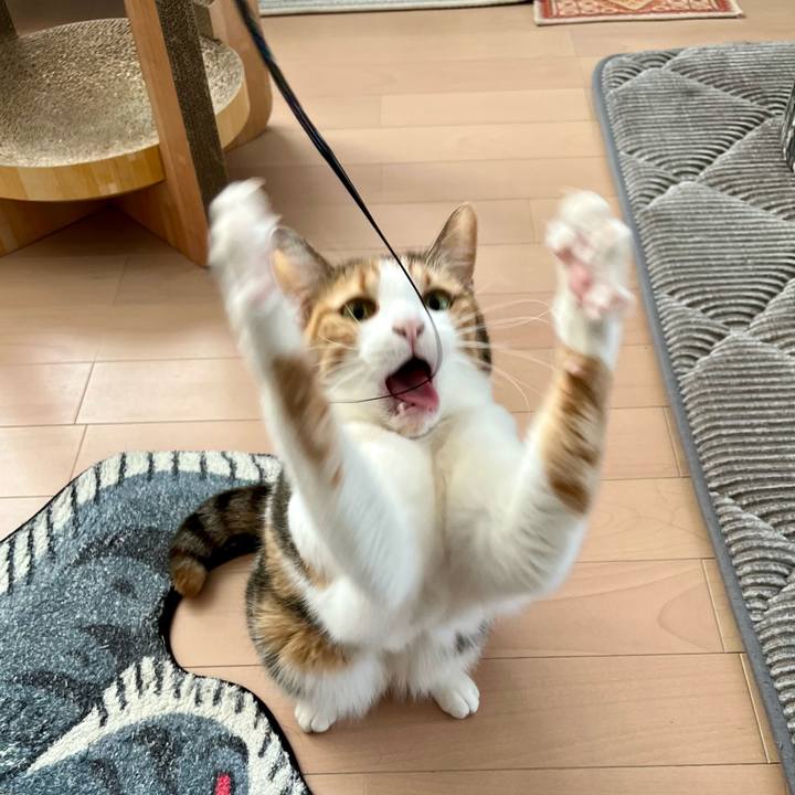 A294053d 0b2b 43b5 86bd 36877c8cc147 1771297585067