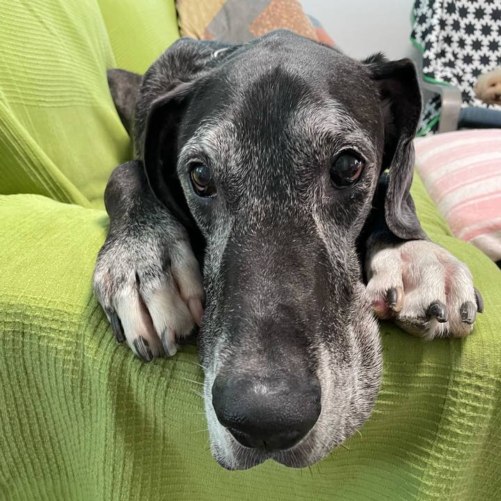 A2940dfb 60a9 43b7 b184 78a6da121593 1624316076395