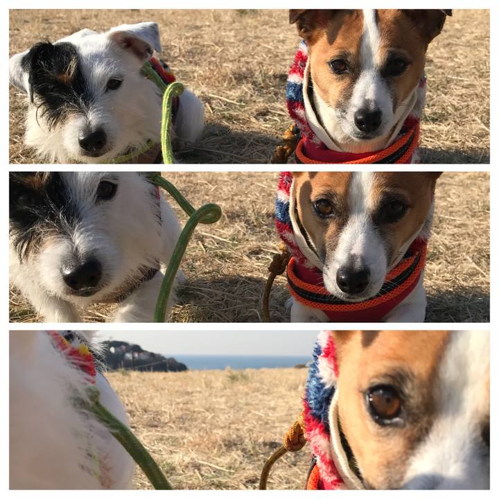 A2942e62 b9c4 4dea 898d 6a16677888e4 1518138015622