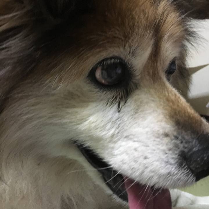 A2944e79 19b0 44ad bf80 1681f9dcb4f5 1622828016520