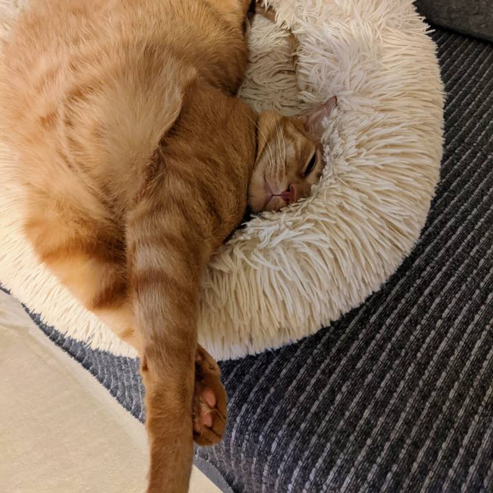 A294ef04 5d35 48c2 a1a7 703b58bb10a8 1665317940312