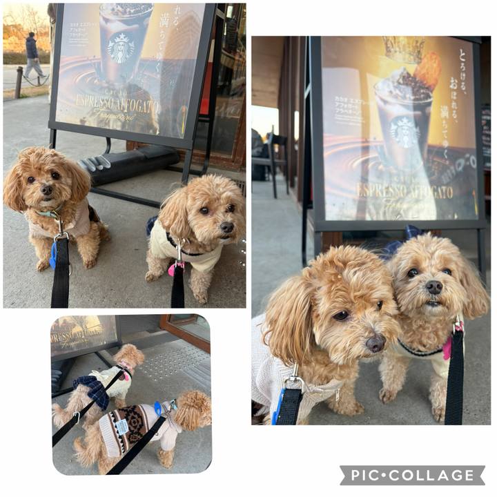 A2951059 4e47 408c 87dc dd698f2fa06b 1770369861154