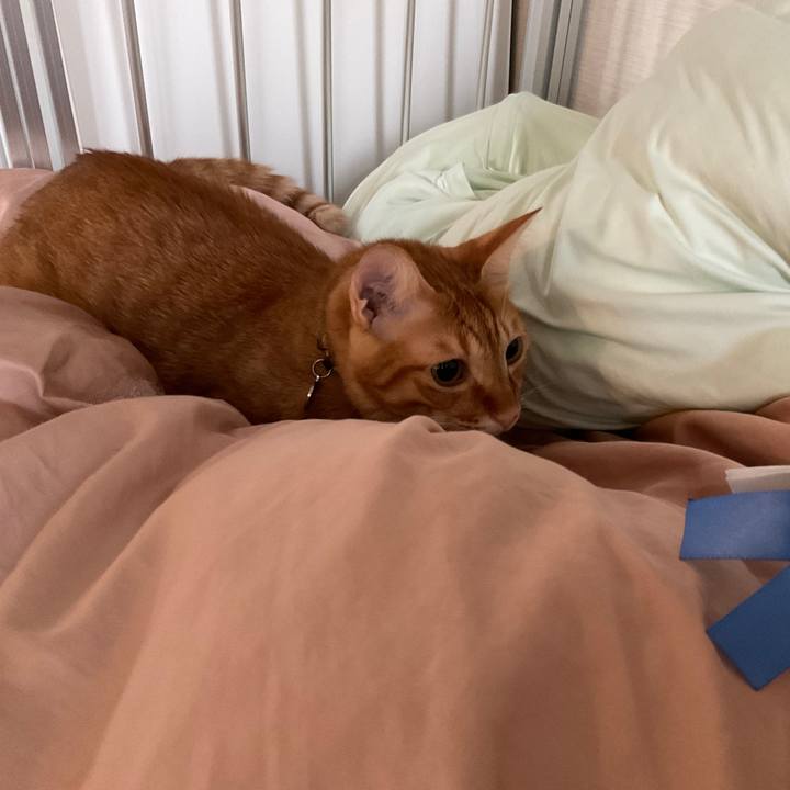 A2952f53 2483 4a92 af82 48b1a00d68e6 1630135893372