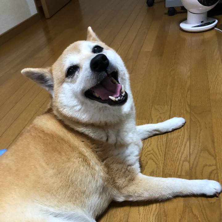 A29540d5 73d1 475d b21e 036c1faed0a3 1593952429472