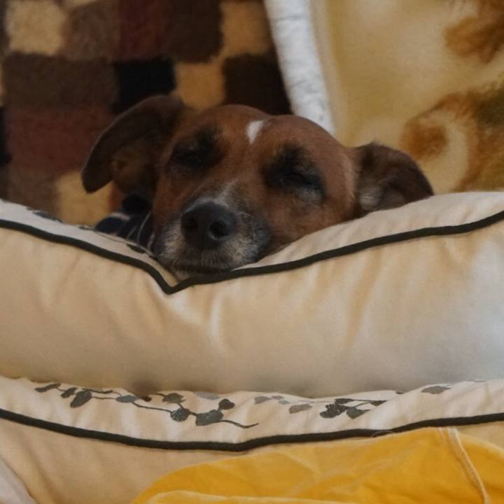 A2954ae5 fbe3 4018 a6f0 6e8868478574 1511393984978