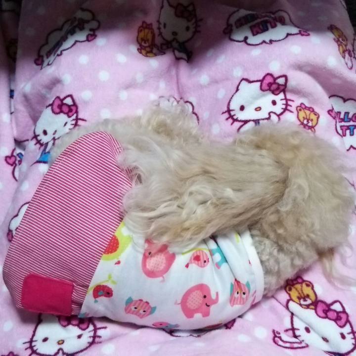 A2958b12 88f8 4f52 8556 f61396cf8a63 1530705475702