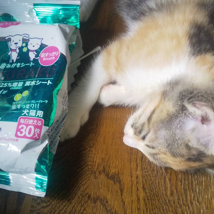 A295ee83 a5ac 4fba a8f9 af1020d2e93b 1721369530751