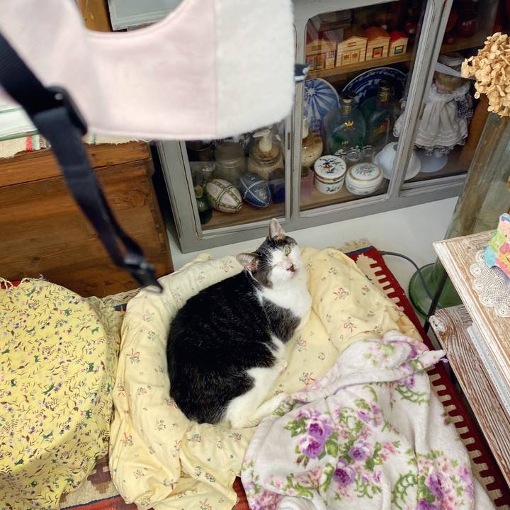 A295f1b6 5486 4470 bd85 ca38c269f8ce 1603955165220