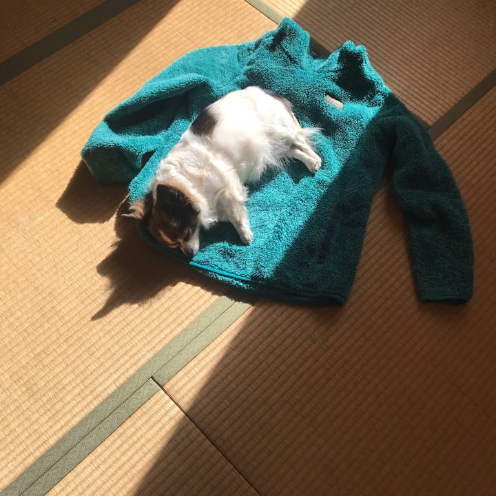 A295fe9b 8b09 4396 808d 75cc8669e843 1734837751318