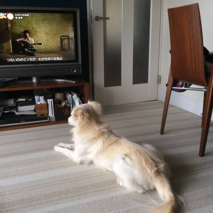 A2963eb1 41bf 4721 a369 e06f8d784991 1511329606821