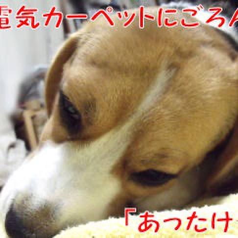 A29656e4 84b3 4b8c 954a 04524044b782 1707520912330