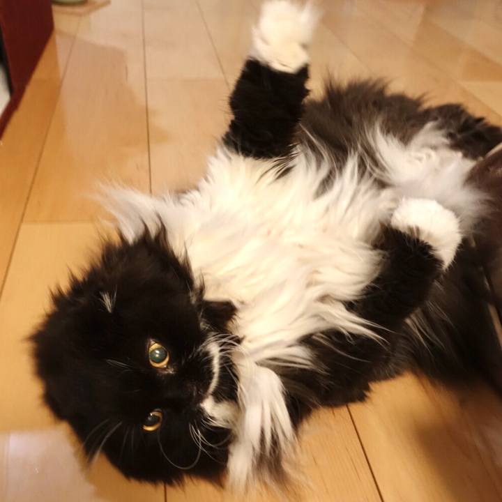 A2966713 70b5 44e3 aec1 aec6d513ed73 1562638187898