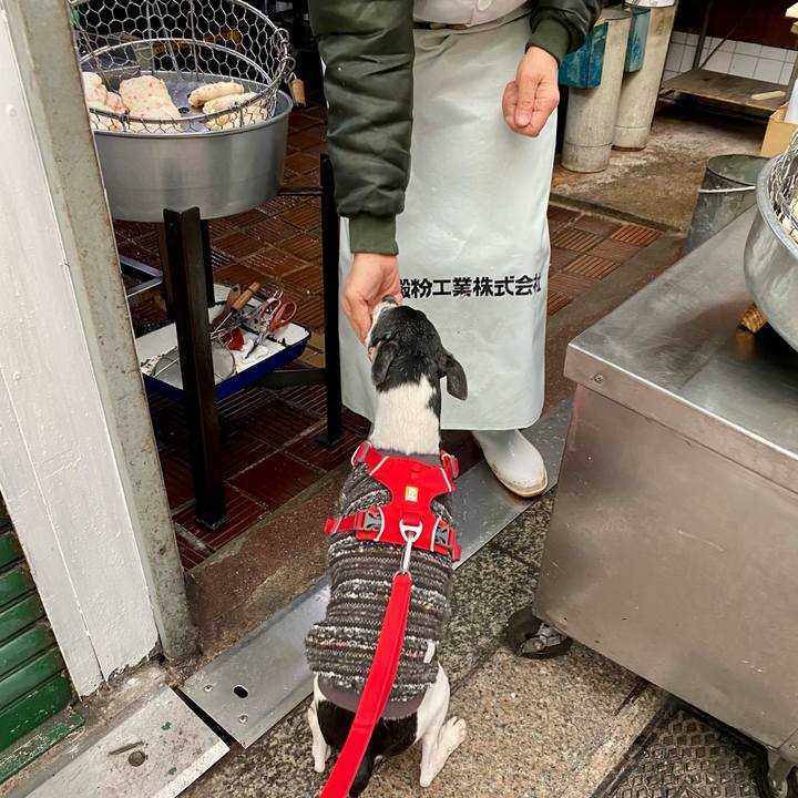 A296d09c 0859 498e 80c7 05568592f197 1608346372169