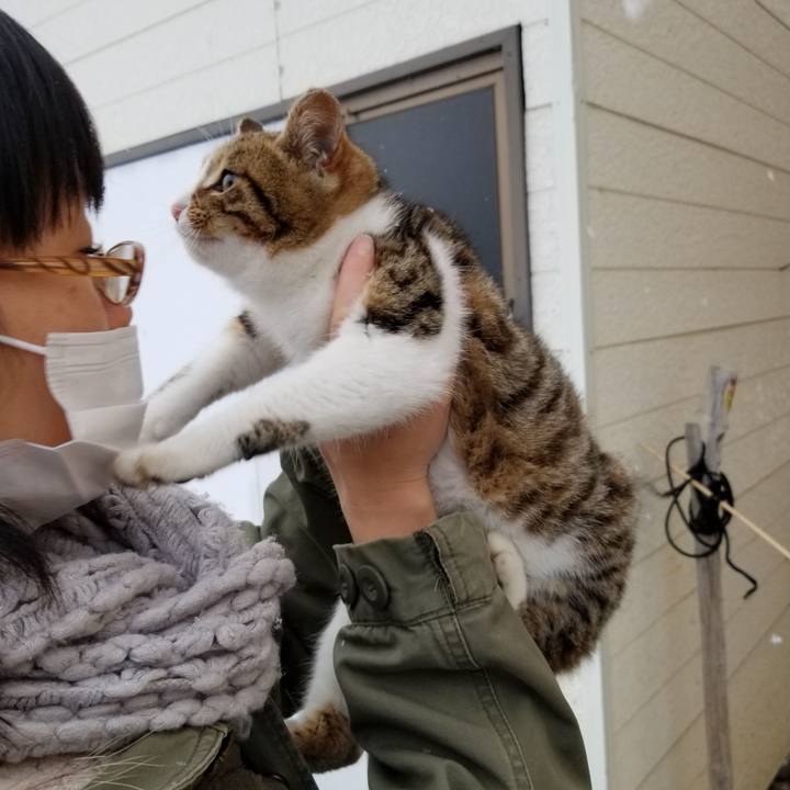 A296e25e 34fb 4203 b287 71642f2457c2 1608811032471