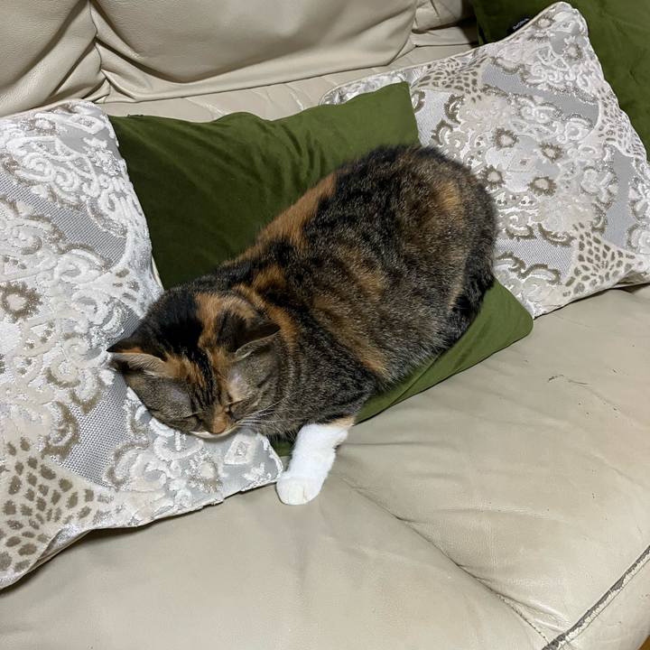 A296e332 e3f0 42fa acd0 7fca235b3fef 1760016805360