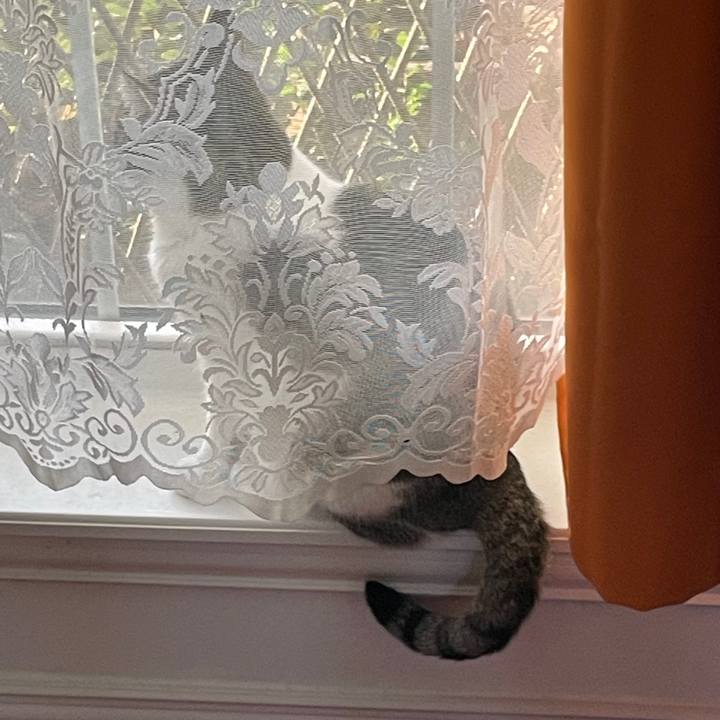 A2971b75 6a47 4a4a a041 b607f1253f74 1769477100844