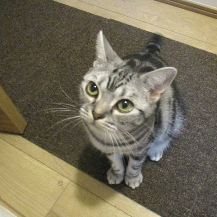 A2974341 f6e4 4a79 af88 b3928747fafd 1571397180739