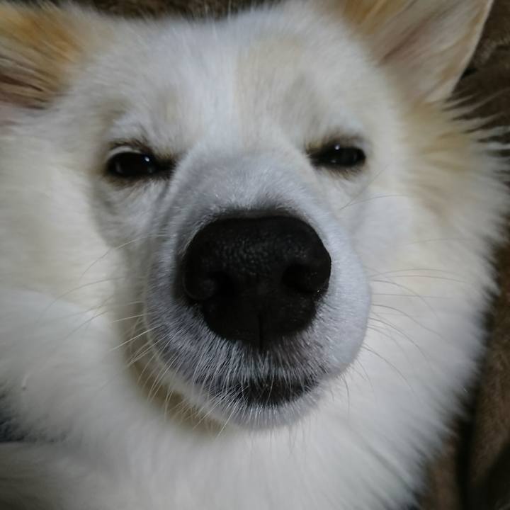 A29779e0 754d 4410 a60d d8361ade8965 1508186242168