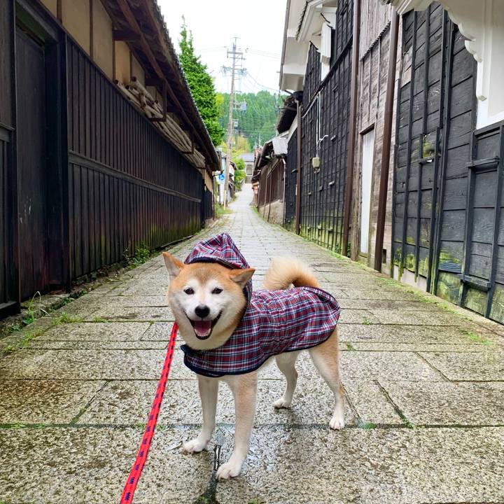 A297b1c3 aa54 4a23 84f7 7604e420f69e 1693991626649