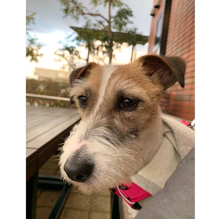 A297c8c3 caa0 49da 9eff 71bfac62fd63 1582366443029