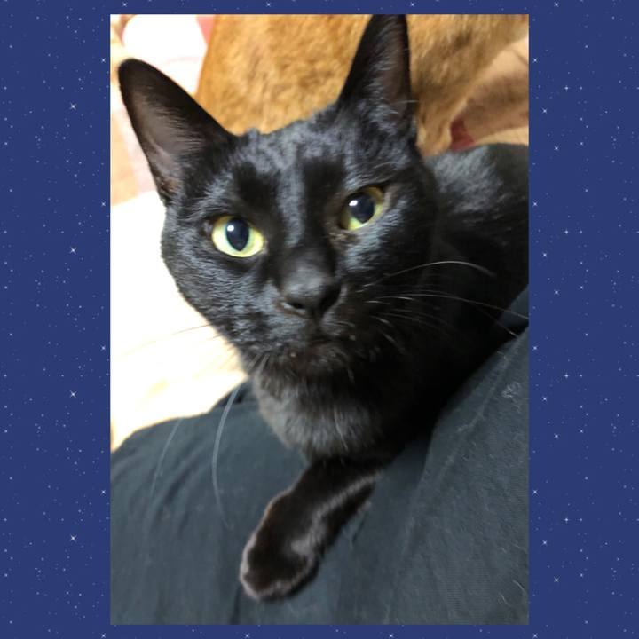 A297d035 c699 4171 ba46 a5e0b2d99a32 1673126547472