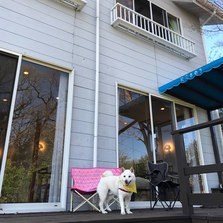 A2981ded b940 4203 ba93 e032a24b5c3d 1521701644009