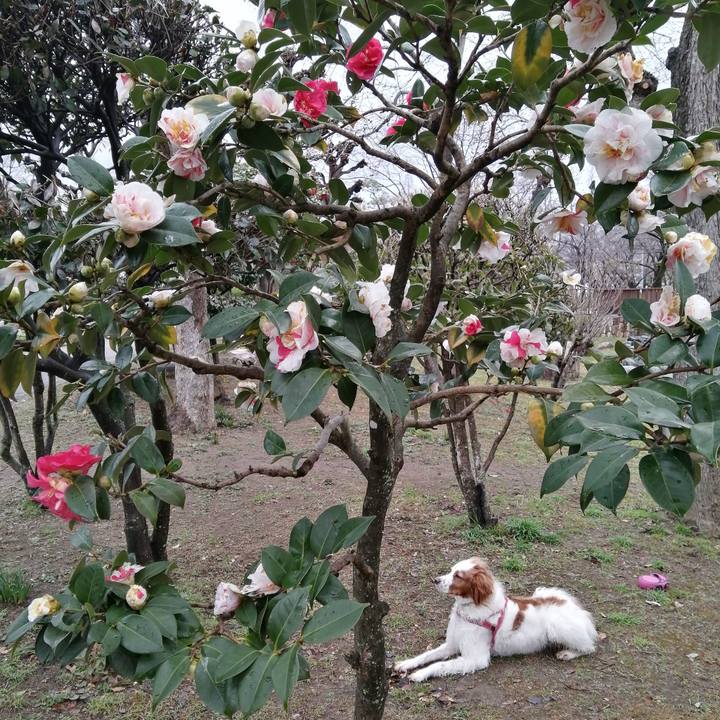 A2984c62 e095 49c2 bb5c 156ab95a9ade 1614942799271