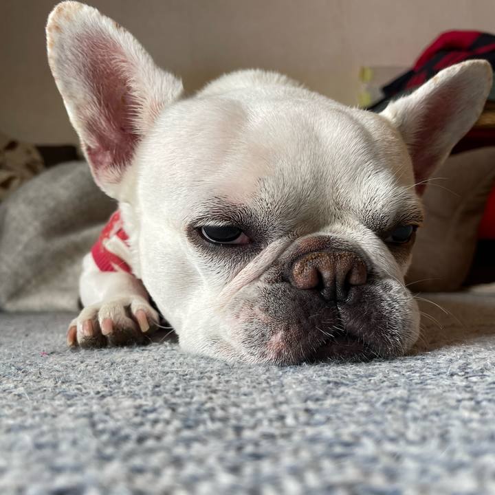 A2986323 ed7e 40bf 8867 cc2011908acd 1743562395725