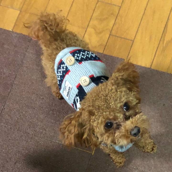 A29881e4 a6ed 47f4 9428 b1bd6d5b93da 1510564114819