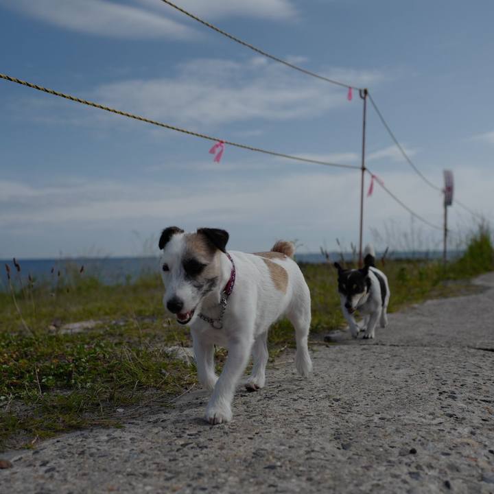 A298ed31 7cbf 4ec3 b7d8 0f73cb543019 1560312064007