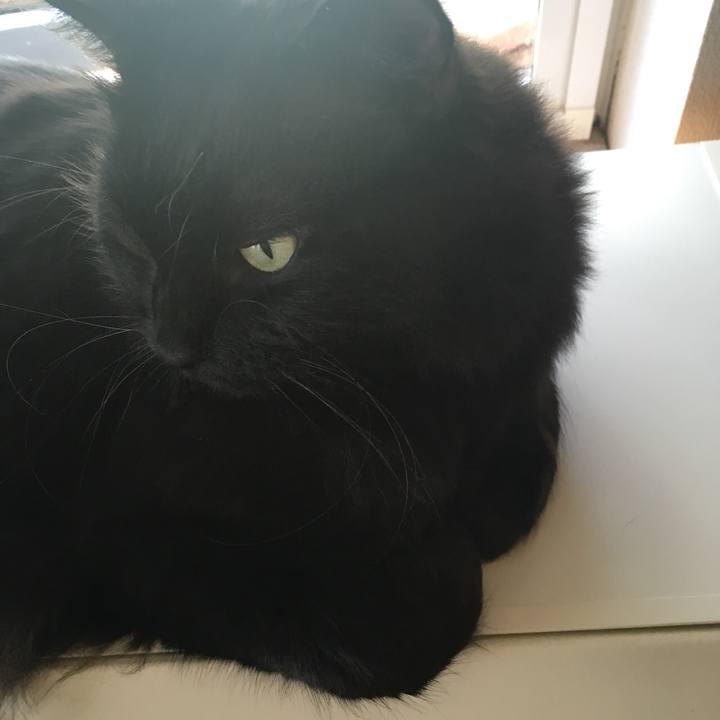 A298fee0 a7d3 4e64 a433 a8547a103027 1537155799462