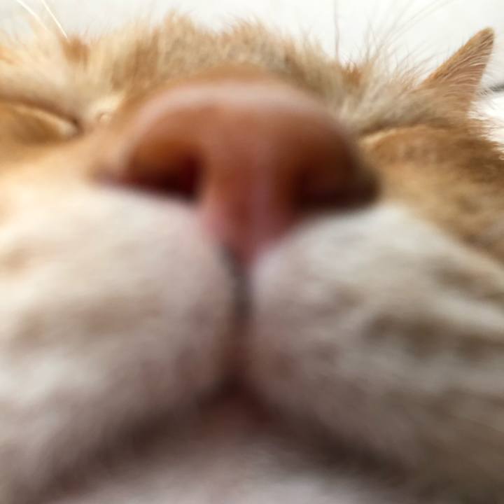 A29916f0 91c3 485c b400 d9591878a097 1578112173307