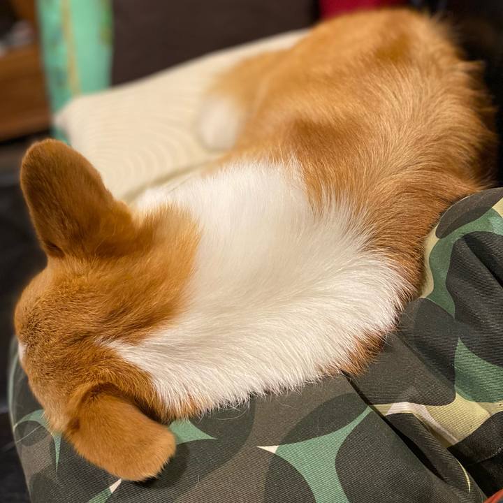 A2993532 1b0a 4942 b92b 17ed61f09f62 1655127438892