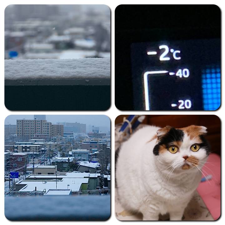 A2999bd8 2c2f 4939 bb6b d2a9e9bcf80f 1573771945693