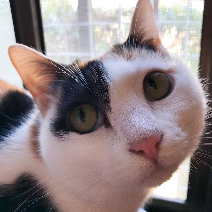 A299b2d5 c833 484c 864f bf26f58ce2e4 1518929145774