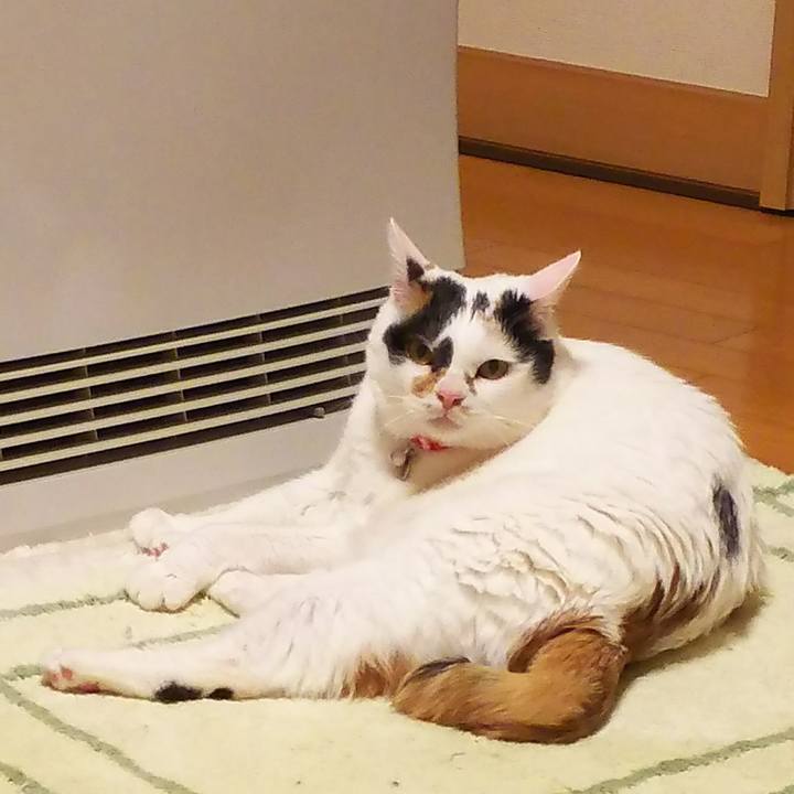 A299b787 cb01 4eb8 8898 5fb682eedab5 1516454692326