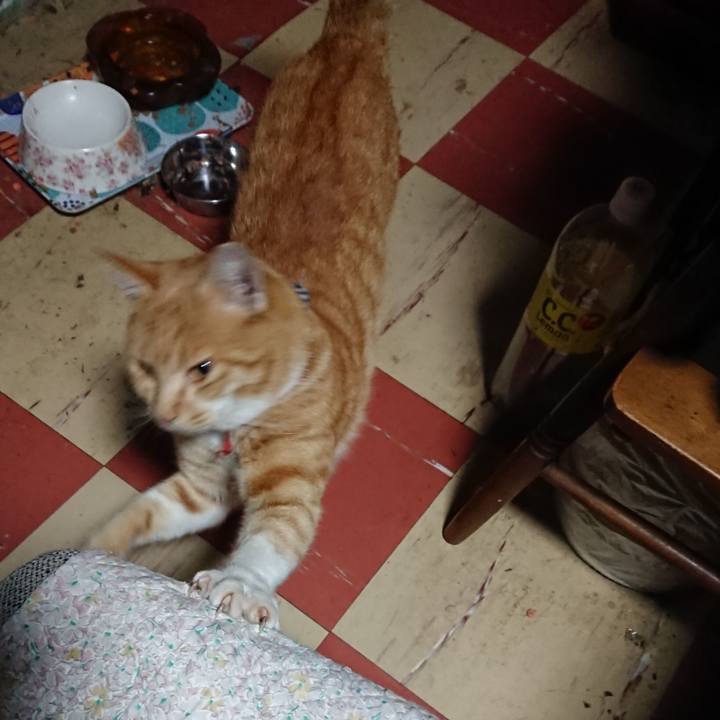 A299d2dd 6521 4955 8053 3a87a878ce57 1574196061649