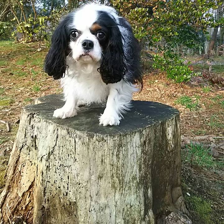 A299db8a 7898 4633 83f9 136ff940cdcd 1521968389190