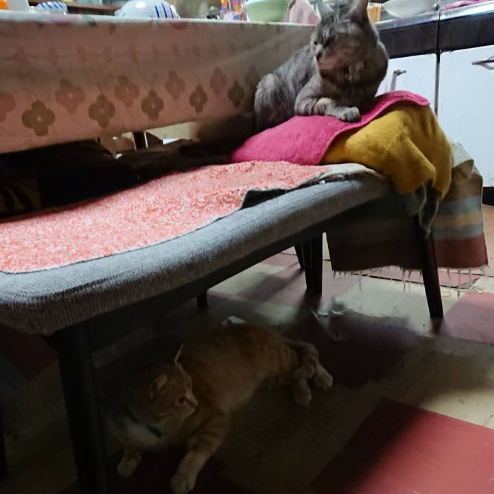 A29a1dd8 5222 451e bf25 cac156dd8616 1557227930262