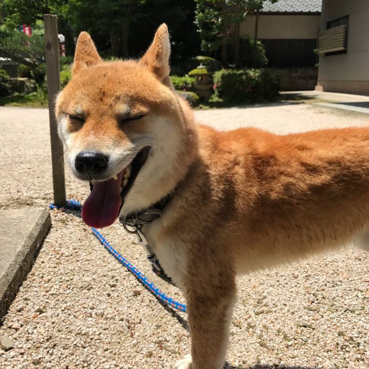 A29a2aa1 7a51 4057 a30a 0acce4cbeeb3 1528079036502