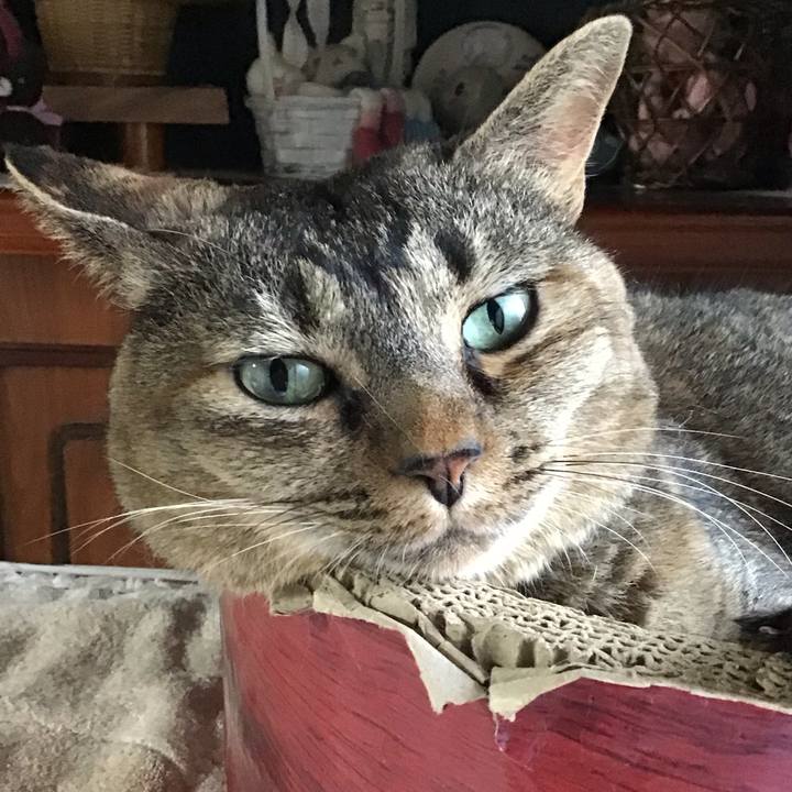 A29a2fe0 395b 4d0a a573 d95bd9e5afa9 1754558389882