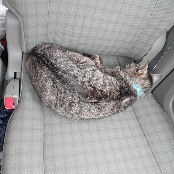 A29a6d8f 6d0f 447b b70f 530a953e6f8f 1555226707002