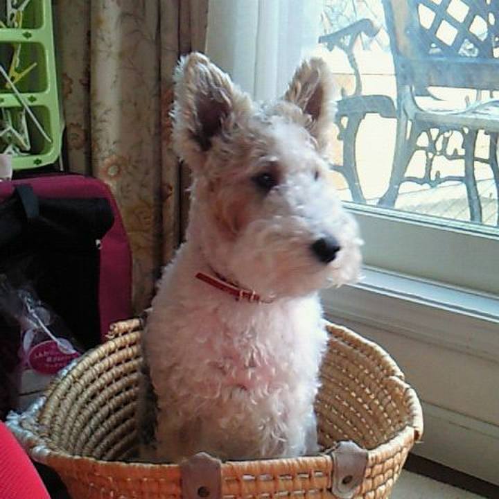 A29a91a6 0094 4df6 9e5c 516a3cb02efa 1561680694629