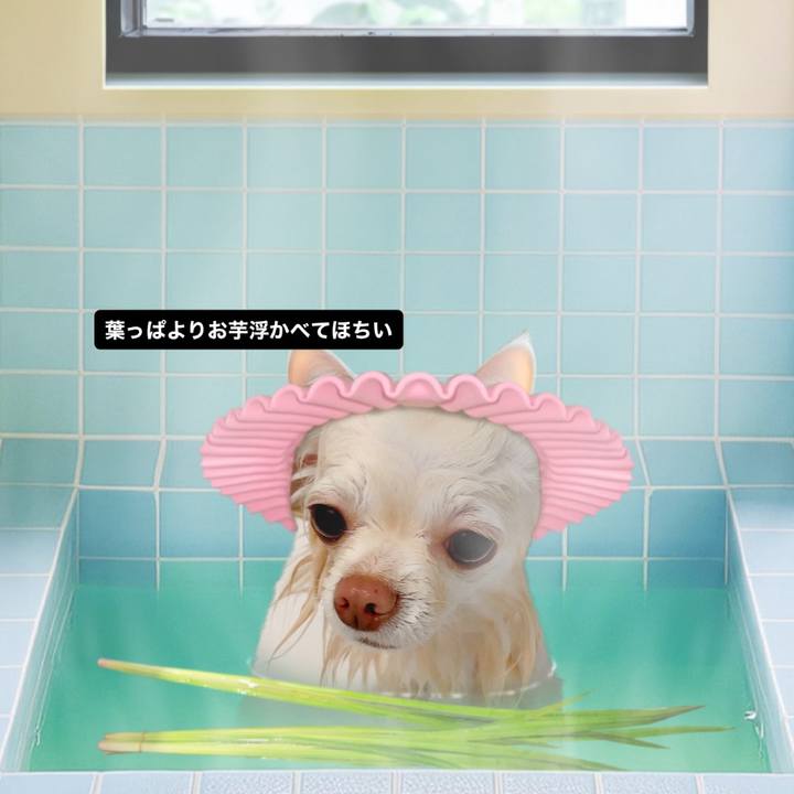 A29a955c 8699 4919 bcf5 cf2ff6f4946b 1714472123559